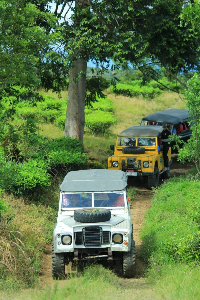 Offroad di Bogor - foto 7