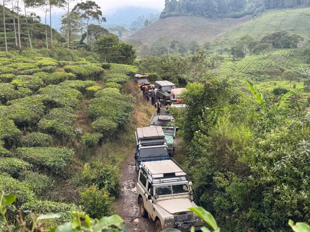 Offroad Rancabali - foto 3